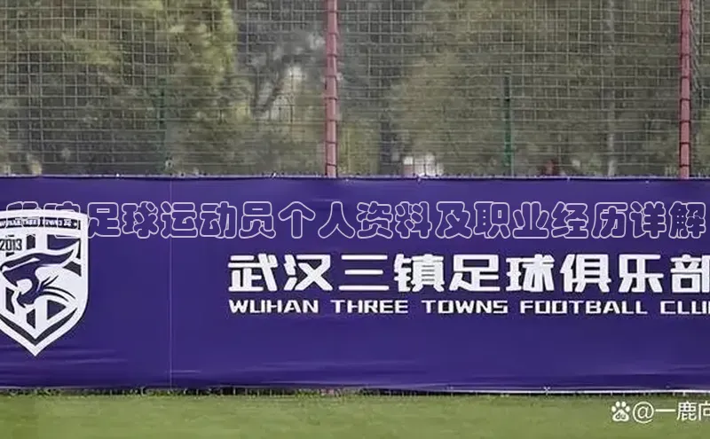 hth最新官方登录官方网站壹网壹创段暄足球运动员个人资料及职业经历详解