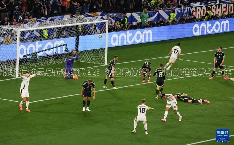 华体体育app官方下载度小满理财足球运动员呆萌视频大全：精选最搞笑、最萌萌哒的片段合集