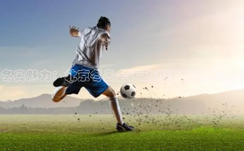 hth网页版在线登录入口百度手机输入法冬奥魅力：北京冬奥会运动赛事的独特体验