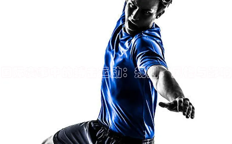 华体育手机app下载猫眼国际赛事中的搏击运动：规则、风格与影响