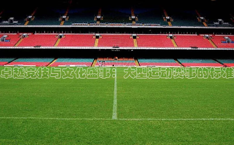 卓越竞技与文化盛事：大型运动赛事的标准