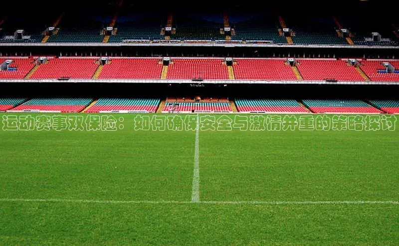 运动赛事双保险：如何确保安全与激情并重的策略探讨