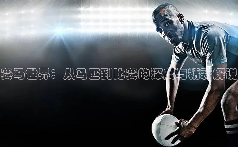 赛马世界：从马匹到比赛的深度与精彩解说