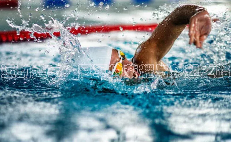 华体体育app官方下载