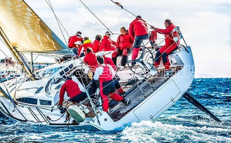 跃动上海：上海运动赛事的策划与组织