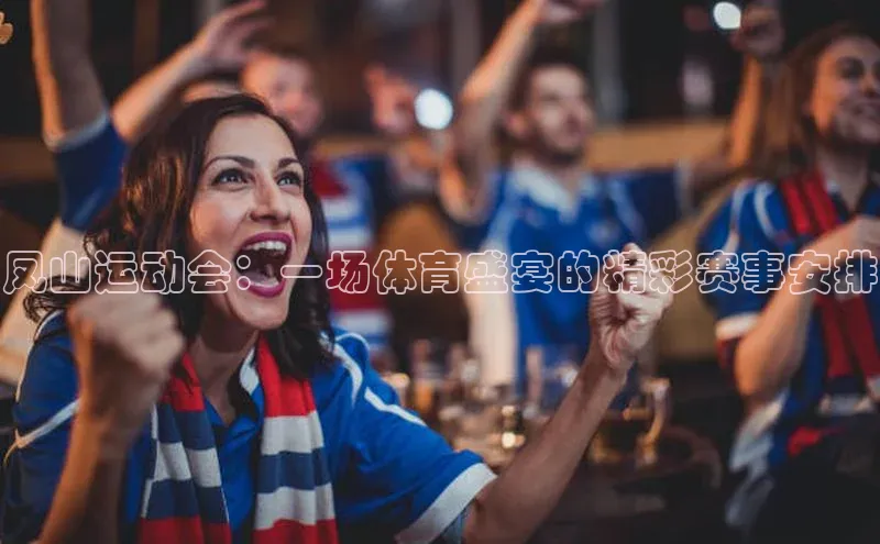 凤山运动会：一场体育盛宴的精彩赛事安排