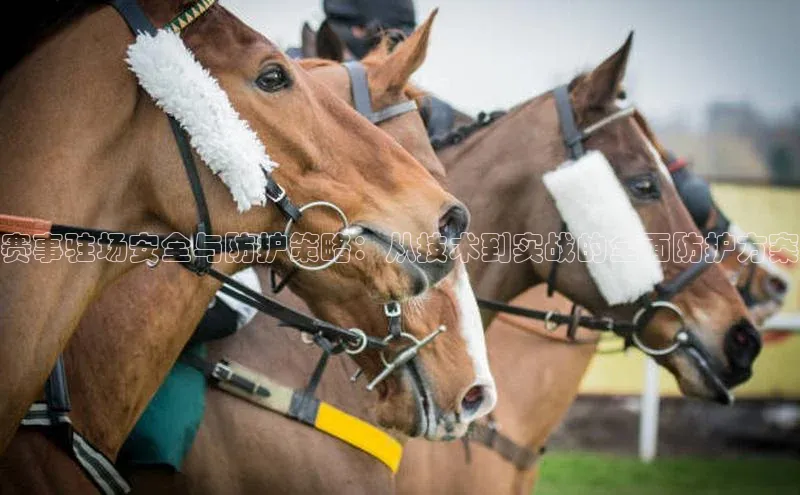 赛事驻场安全与防护策略：从技术到实战的全面防护方案