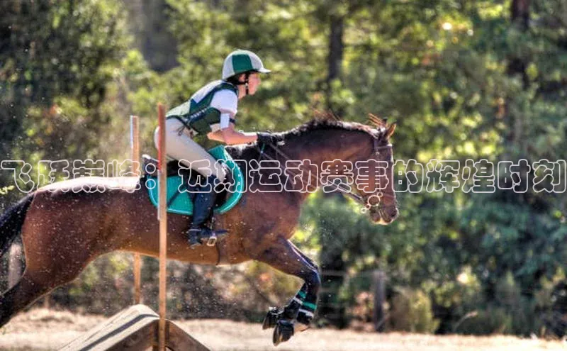 飞跃巅峰：近期运动赛事的辉煌时刻
