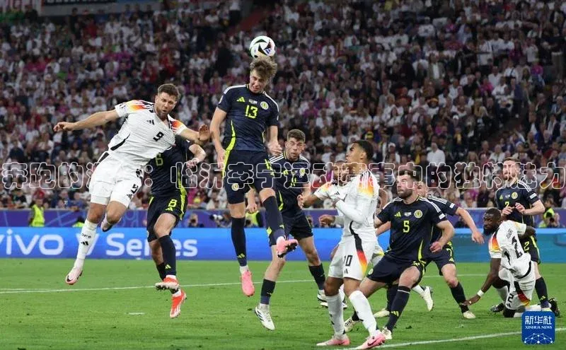 奔跑的激情：临沂李宁运动赛事中的独特魅力