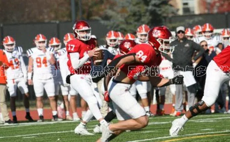 跨文化视角下的世界杯：足球的魅力与多样性