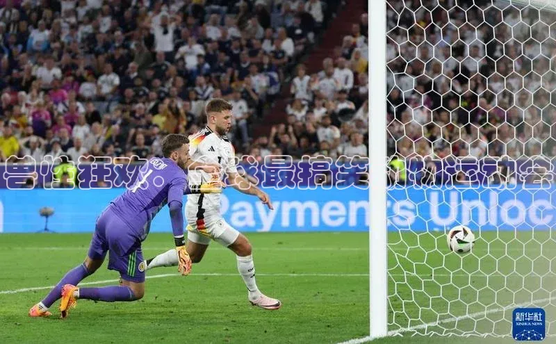 华体育app官网登录