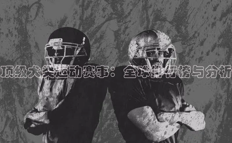 顶级犬类运动赛事：全球排行榜与分析